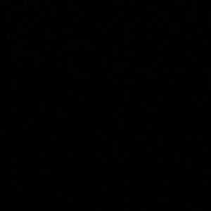 Meet your Posher, Ava